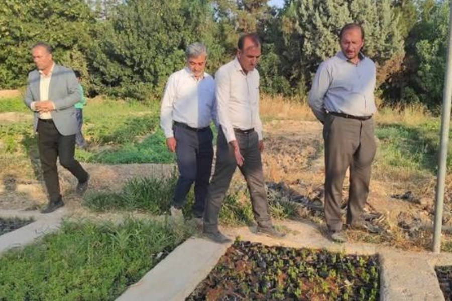 سهیم کردن مردم در منافع حوزه های آبخیزداری به معنای مشارکت واقعی است