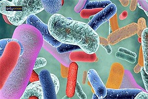 تبدیل ماده معدنی معمول به ضدمیکروب پایدار با اثرگذاری گسترده