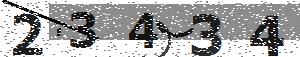 تصویر امنیتی
