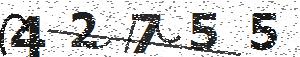 تصویر امنیتی