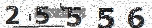 تصویر امنیتی