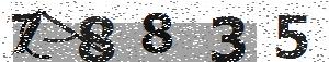تصویر امنیتی
