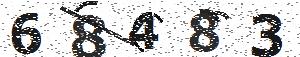 تصویر امنیتی
